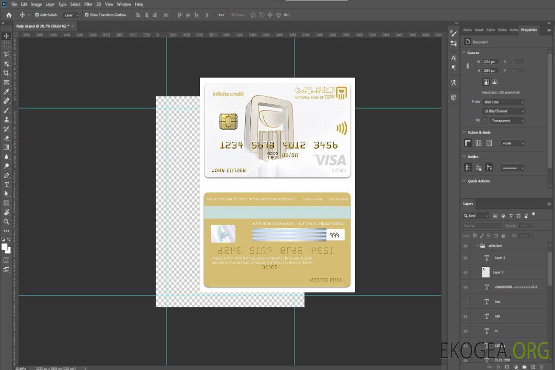 Carte Visa Infinite de la Banque nationale d'Égypte d'Égypte template Carte Visa Infinite de la Banque nationale d'Égypte d'Égypte template